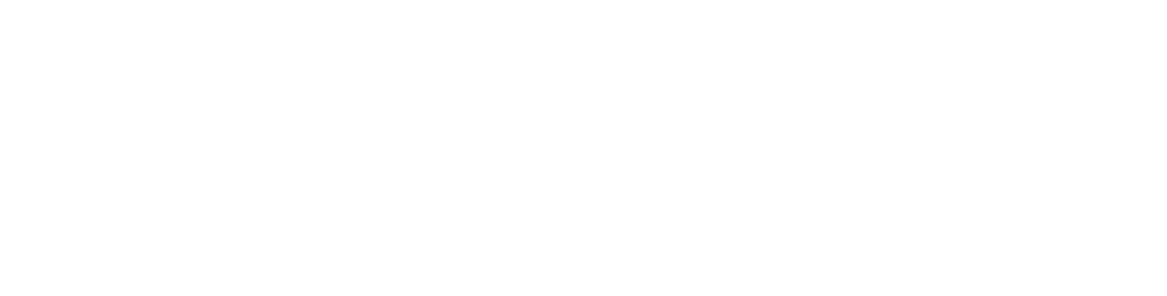 NS Transport UK